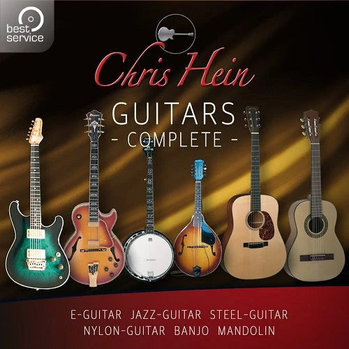 Chris Hein Guitars 7가지 기타 악기 총망라