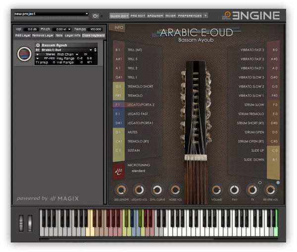 Arabic E-Oud 아랍 민속 악기