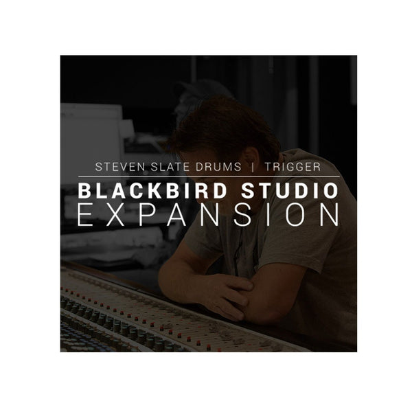 STEVEN SLATE SSD Blackbird expansion SSD